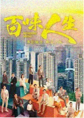 雾港档案刑侦剧在线看